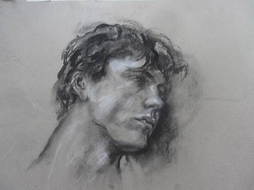 Head Study Fusain 50/38